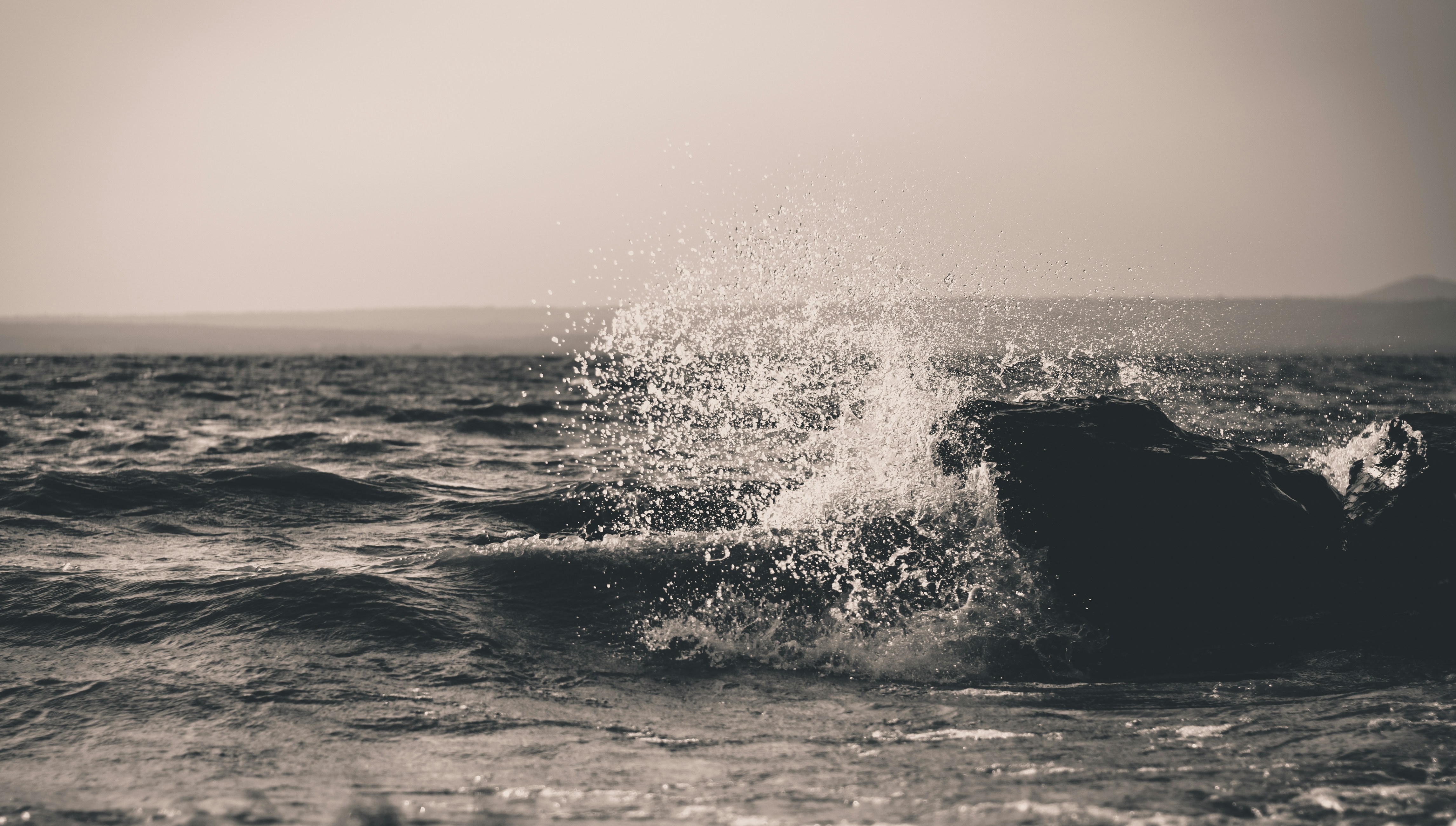 front page image